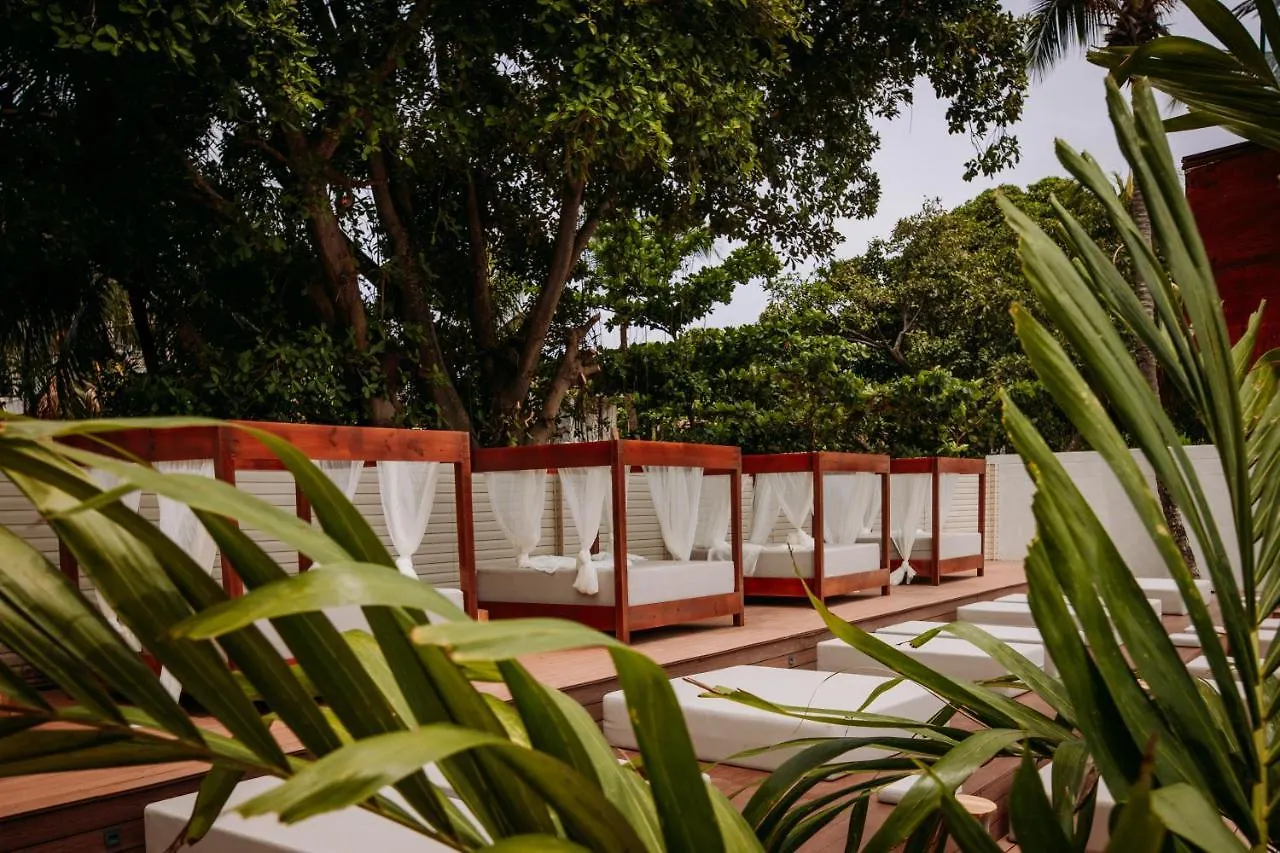 Vandrarhem Dreamer Beach Club San Andrés Colombia