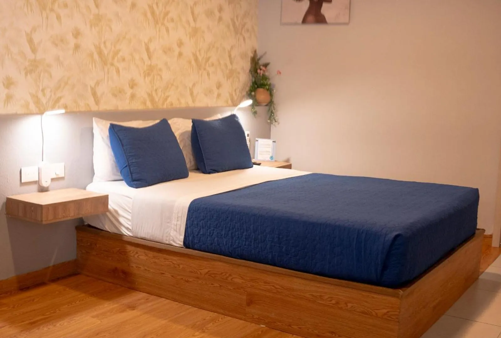 Vandrarhem Dreamer Beach Club San Andrés